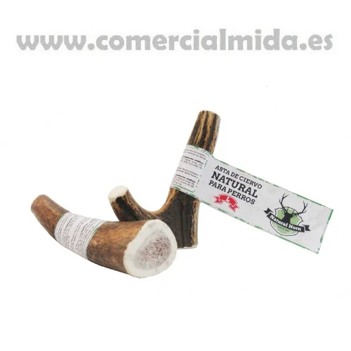 Asta de Ciervo NATURAL HORN - Image 3