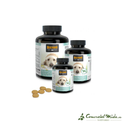 BELCANDO Agil Suplemento Dietético en Comprimidos para Perros