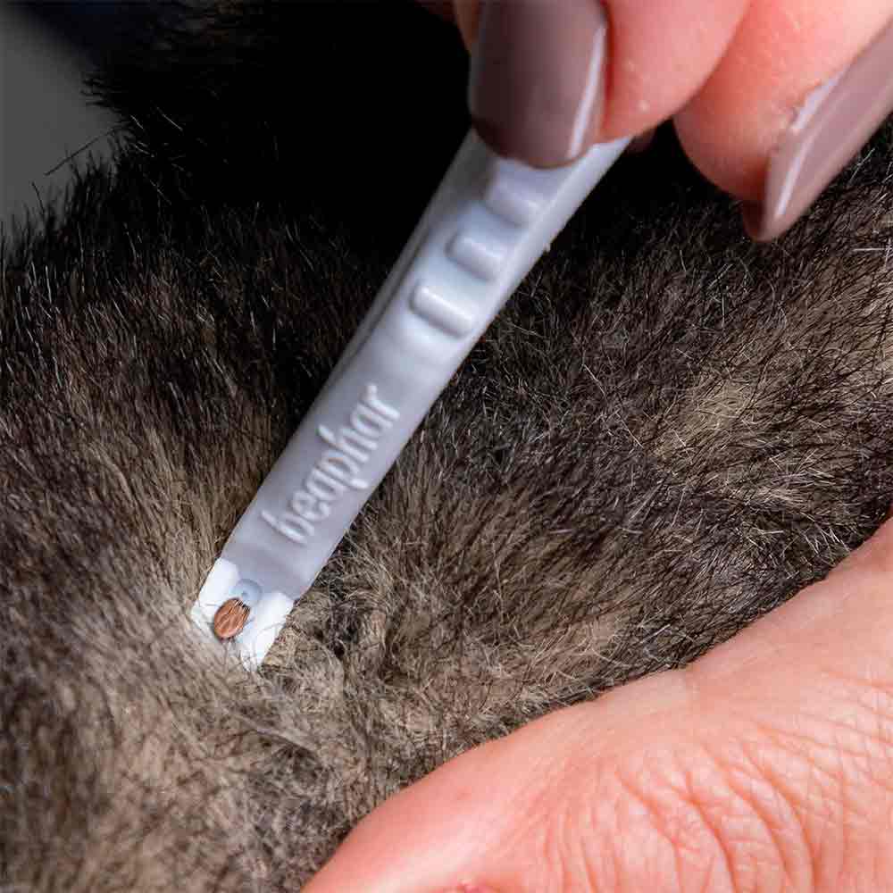 Pinza para quitar garrapatas en Perros y Gatos BEAPHAR - Image 2