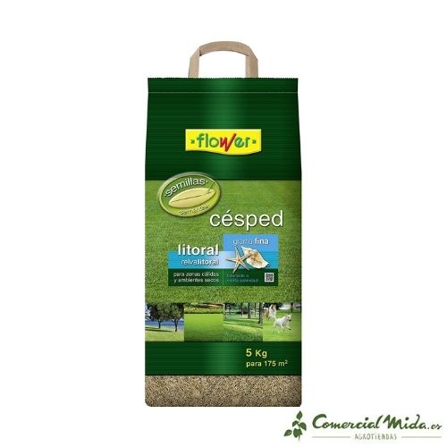 Semillas de CÉSPED LITORAL FLOWER - Image 2