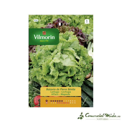 Semillas de Lechuga Pierre Benite 7gr VILMORIN