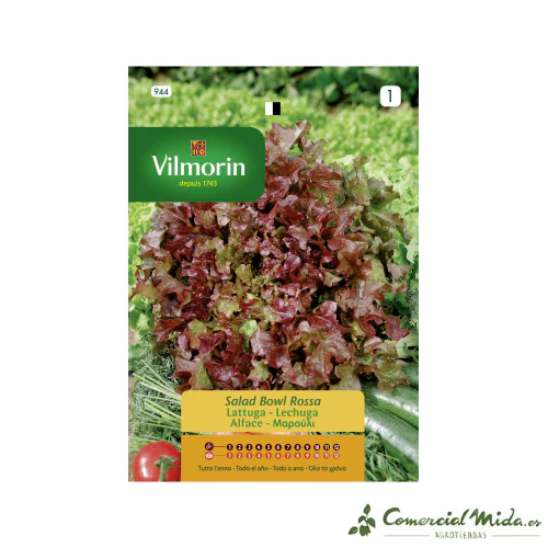 Semillas de Lechuga Red Bowl 7gr VILMORIN