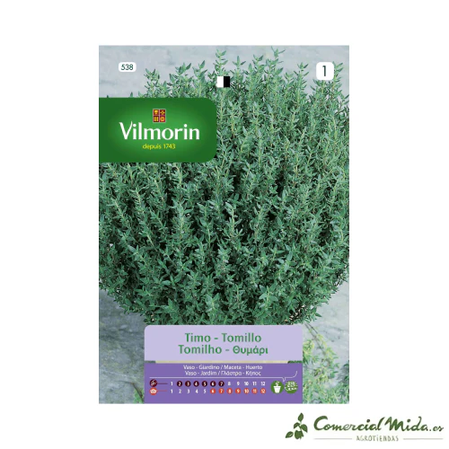 Semillas Tomillo Aromático 1gr VILMORIN