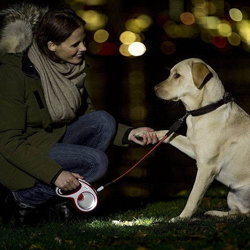 Sistema de Iluminación para Correas Flexi - Image 2