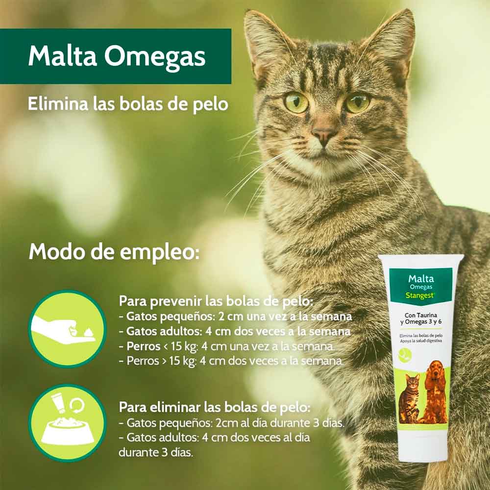 STANGEST Malta Omega 6 - Image 3