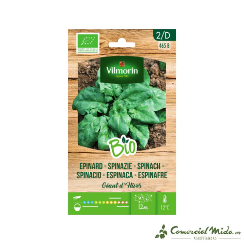 VILMORIN Semillas BIO Espinaca Gigante