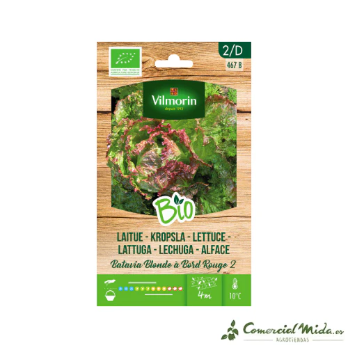 VILMORIN BIO Semillas Lechuga Batavia Rubia