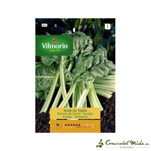 VILMORIN Semillas Acelga Verde de Cortar