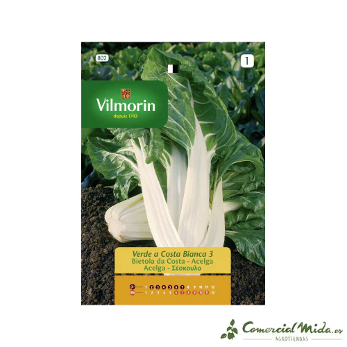 VILMORIN Semillas Acelga Verde de Penca Blanca 3