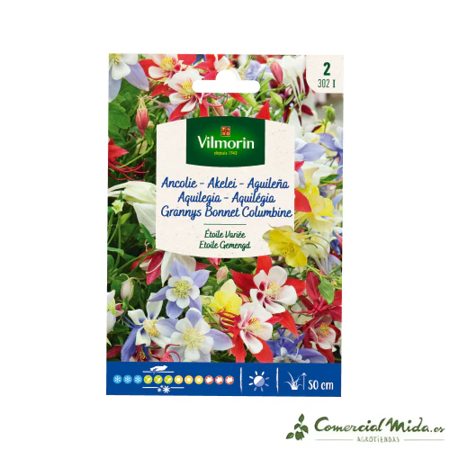 VILMORIN Semillas Aguileña Estrella Variada