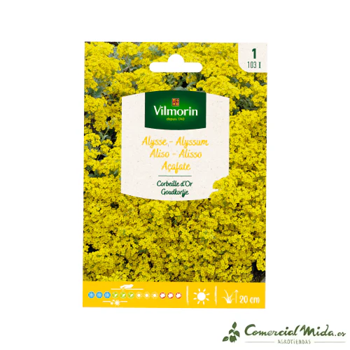 VILMORIN Semillas Aliso Amarillo