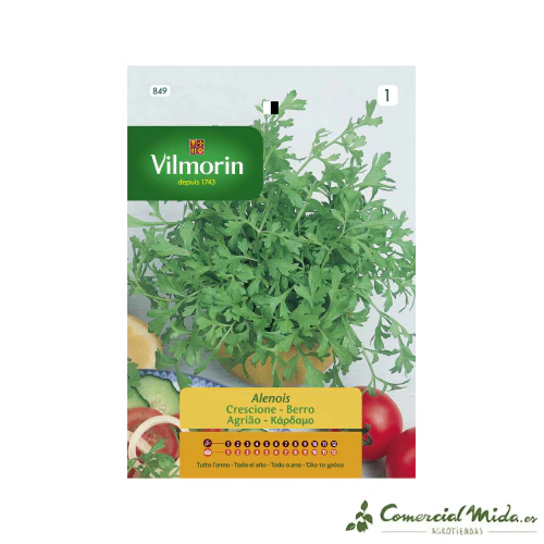 VILMORIN Semillas Berro Alenois
