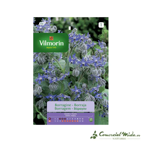 VILMORIN Semillas Borraja Oficinal