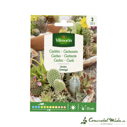 VILMORIN Semillas Cactus Variados