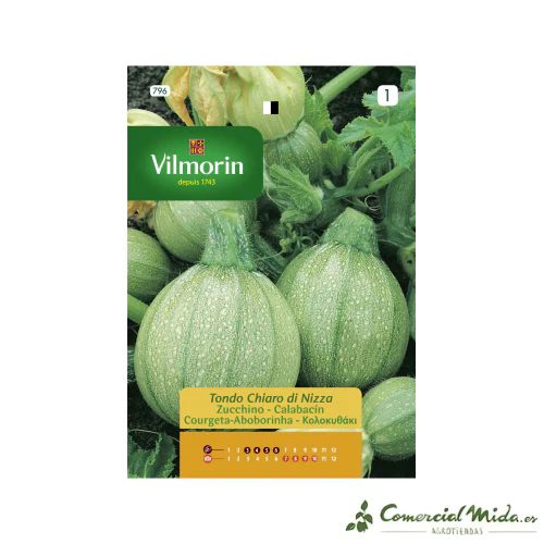 VILMORIN Semillas Calabacín de Niza de Fruto Redondo