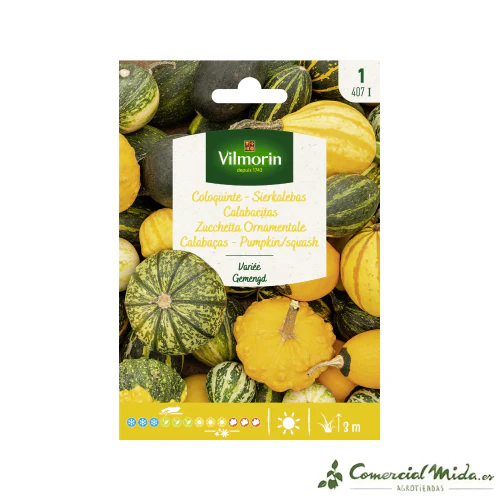 VILMORIN Semillas Calabacitas Variada