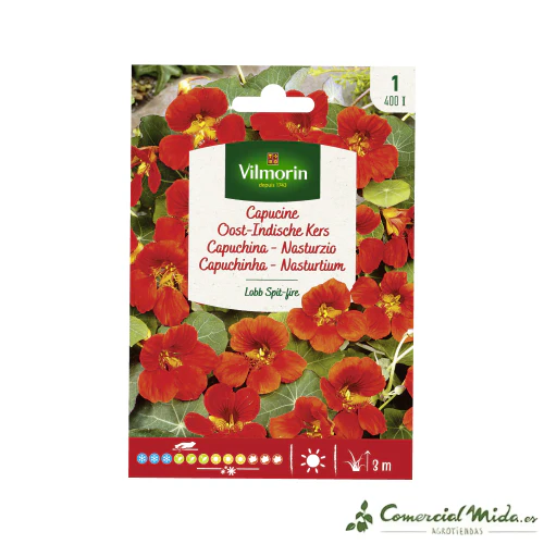 VILMORIN Semillas Capuchina Lobb Spit-fire