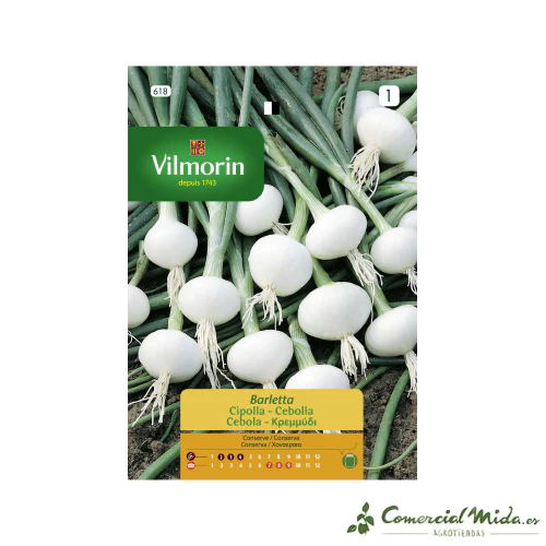 VILMORIN Semillas Cebolla Blanca Barletta