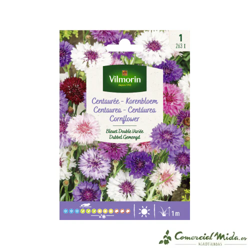 VILMORIN Semillas Centaurea Azul Doble Variada