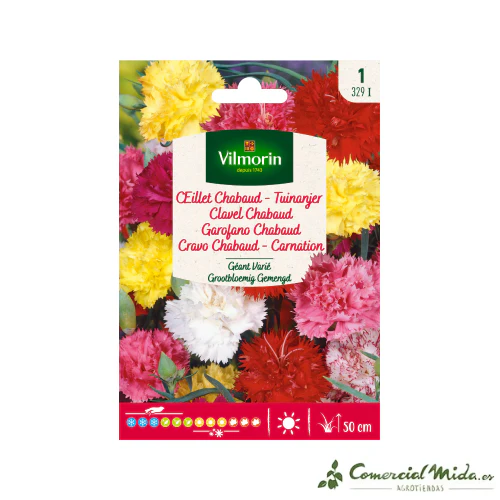 VILMORIN Semillas Clavel Chabaud Gigante Variado