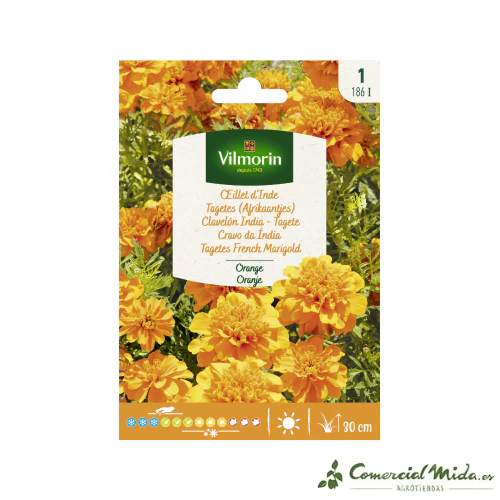VILMORIN Semillas Clavelón India Naranja