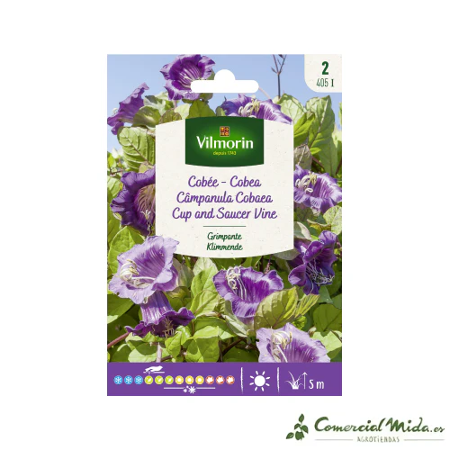 VILMORIN Semillas Cobea Azul Trepadora