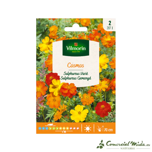 VILMORIN Semillas Cosmos Azufrado Variado