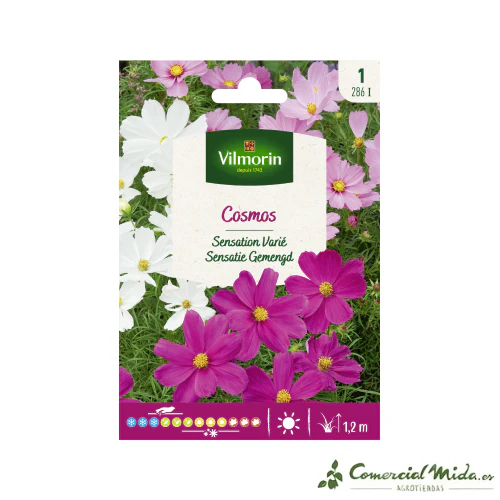 VILMORIN Semillas Cosmos Sensación Variado