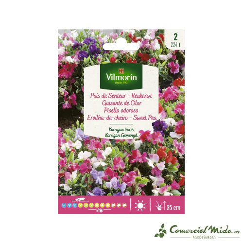 VILMORIN Semillas Guisante de Olor Korrigan Variado