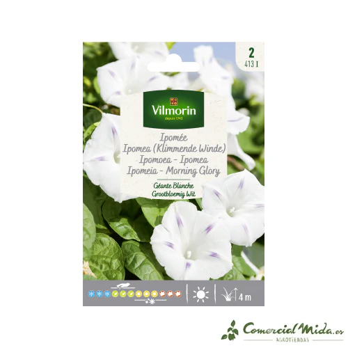 VILMORIN Semillas Ipomoea Gigante Blanca