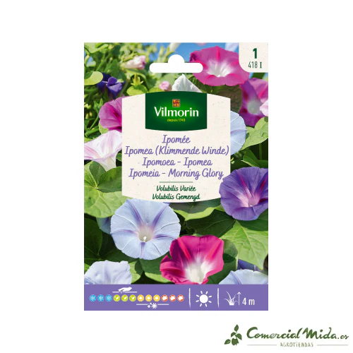VILMORIN Semillas Ipomoea Volubilis Variada