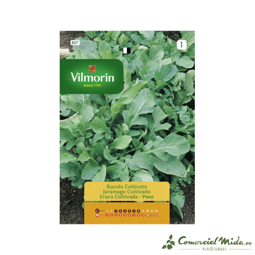 VILMORIN Semillas Jaramago Cultivado