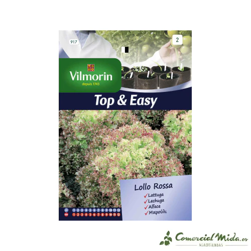 VILMORIN Semillas Lechuga Lollo Rossa