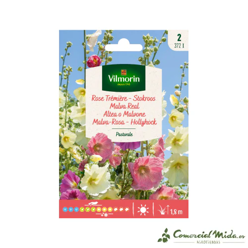 VILMORIN Semillas Malva Real Pastoral