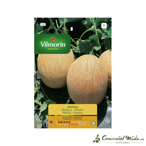 VILMORIN Semillas Melón Ananás