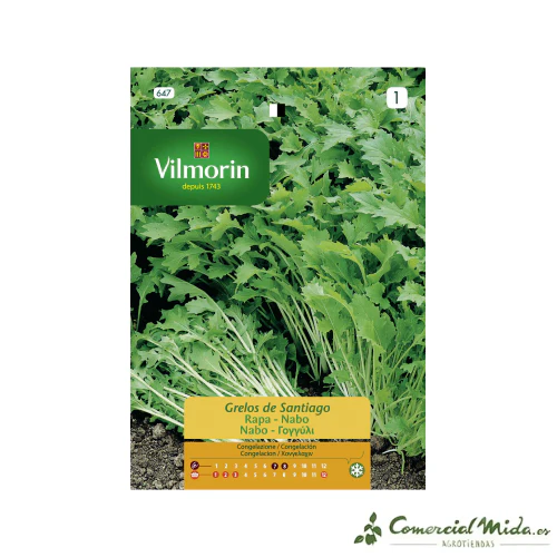 VILMORIN Semillas Nabo Grelos de Santiago