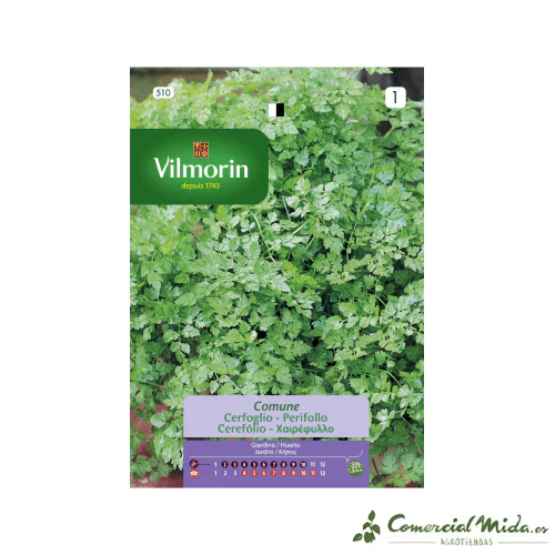 VILMORIN Semillas Perifollo Cerefólio