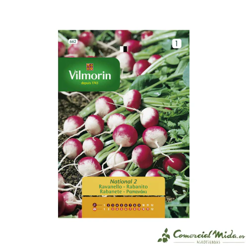 VILMORIN Semillas Rabanito Redondo Rosa Punta Blanca 2