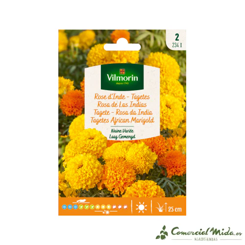 VILMORIN Semillas Rosa de Las Indias Enana Variada