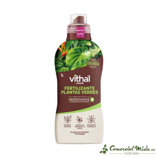 VITHAL GARDEN Biosphere + Plantas Verdes